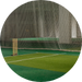 Best Cricket Academy
